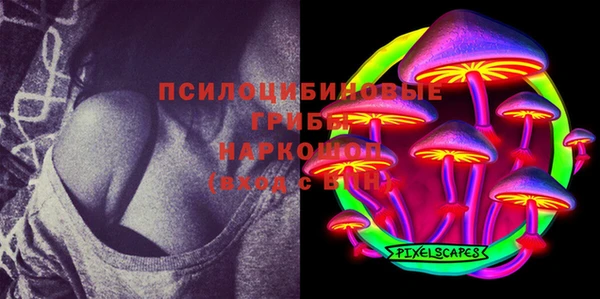 хмурый Козельск