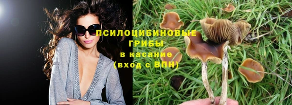 хмурый Козельск