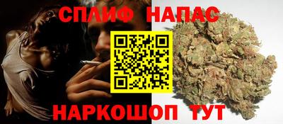 дживик Дубна
