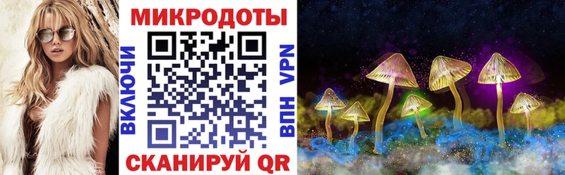 Псилоцибиновые грибы прущие грибы  Канаш 