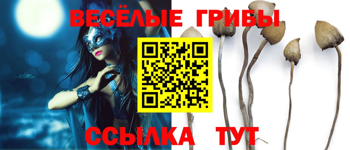 Псилоцибиновые грибы GOLDEN TEACHER Канаш