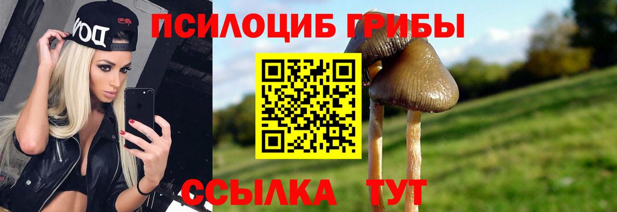 Псилоцибиновые грибы Psilocybe  Вход с VPN  Канаш  Псилоцибиновые грибы Cubensis 